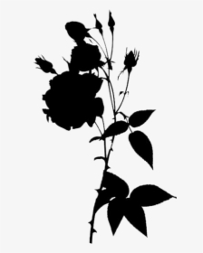 Rose Flowers Png Transparent Images - Garden Roses, Png Download, Free Download