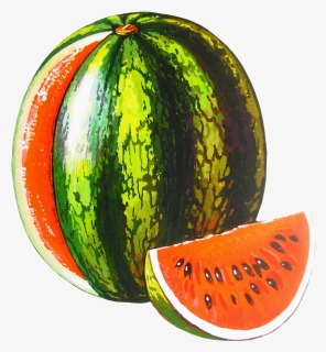 Watermelon Png Free Download - Watermelon Melon Transparent Background, Png Download, Free Download