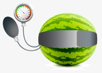 Watermelon Vector, HD Png Download, Free Download