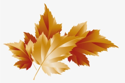 Autumn Leaves Transparent Background, HD Png Download, Free Download