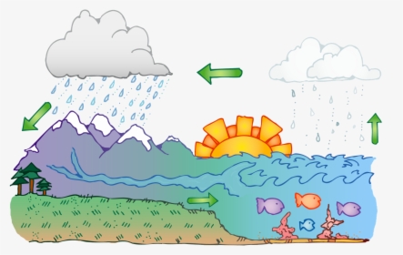 Free Clipart Water Cycle, HD Png Download, Free Download