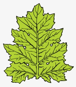 Acanthus Leaf - Leaf Clip Art, HD Png Download, Free Download