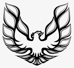 15 Firebird Drawing Wing For Free Download On Mbtskoudsalg - Trans Am Bird, HD Png Download, Free Download