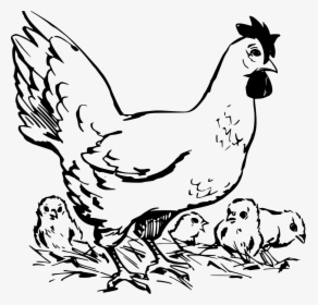 Hen Chicken Image Hd Image Clipart - Hen With Chicken Black And White, HD Png Download, Free Download