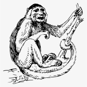 Indian Clipart Monkey - 3rd Grade Animal Habitat Worksheets, HD Png Download, Free Download