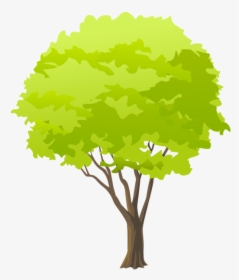 Clipart Trees Corn - Clipart Tree Png, Transparent Png, Free Download