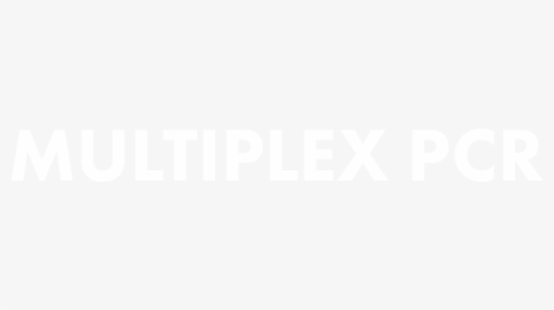 Johns Hopkins Logo White, HD Png Download, Free Download