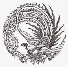 Graphic Black And White Download Fenghuang Phoenix - Chinese Phoenix Tattoo, HD Png Download, Free Download