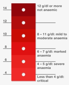 Scale With Levels - Anemic Blood Color, HD Png Download, Free Download
