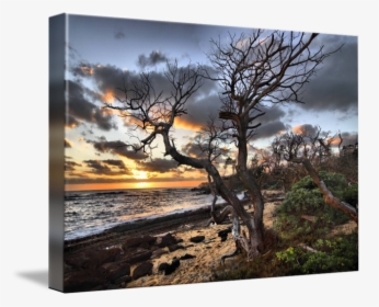 Clip Art Kauai Sunrise - Sunset, HD Png Download, Free Download
