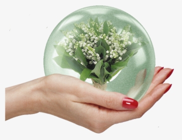 #hand #globe #freetoedit - Hand, HD Png Download, Free Download