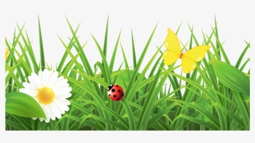 Grass With Flowers Png Hd , Png Download - Flowers Hd Images Png, Transparent Png, Free Download