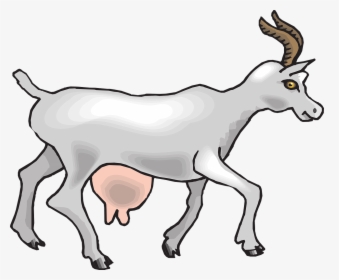 Clipart Baby And Goat, HD Png Download, Free Download