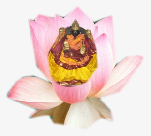 Sacred Lotus, HD Png Download, Free Download