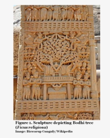 Sculpture Depicting Bodhi Tree - Bodhi Tree In Sanchi Stupa, HD Png Download, Free Download