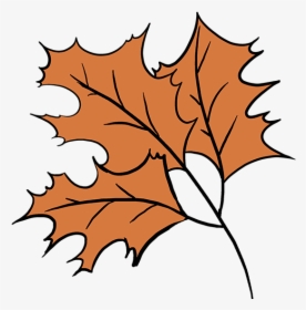 How To Draw Fall Oak Leaves - Fall Drawing Easy, HD Png Download, Free Download