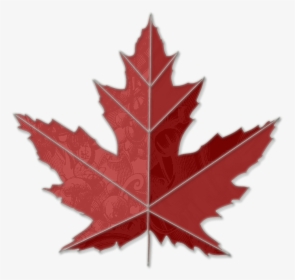 Transparent Maple Leaf Clipart Black And White - Toronto Maple Leaf Tree, HD Png Download, Free Download