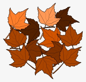 Maple Leaves Clip Art At Clker - Dried Leaves Clip Art, HD Png Download, Free Download