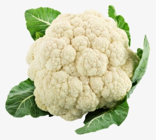 White Cauliflower Png Free Images - Cauliflower Png, Transparent Png, Free Download