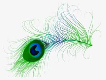 Flute Clipart Peacock Feather - Transparent Peacock Feather Png, Png Download, Free Download