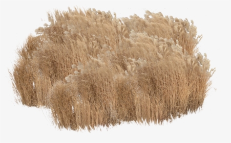 Thatching, HD Png Download, Free Download