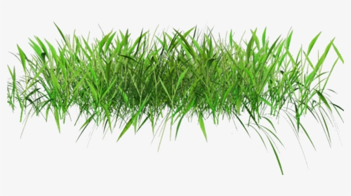 Transparent Grass, HD Png Download, Free Download