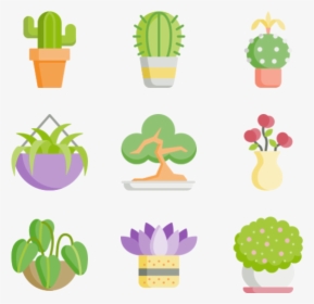 House Plants, HD Png Download, Free Download