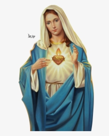 Feast Of The Immaculate Heart Of Mary 2019, HD Png Download, Free Download