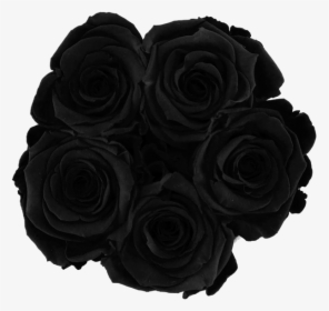 Clip Art Black And White Roses - Transparent Black Rose Png, Png Download, Free Download
