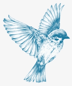 Blue Bird Flying Drawing, HD Png Download, Free Download