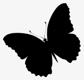 Butterfly Flying Png Transparent Images - Butterfly Silhouette, Png Download, Free Download