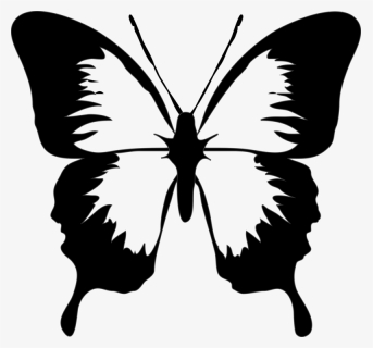 Butterfly Black And White Clip Art Black And White - Butterfly Clip Art, HD Png Download, Free Download