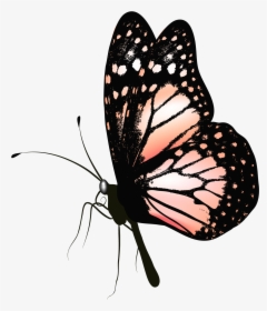 Realistic Butterfly Clipart , Png Download - Butterfly Gif Images Png, Transparent Png, Free Download