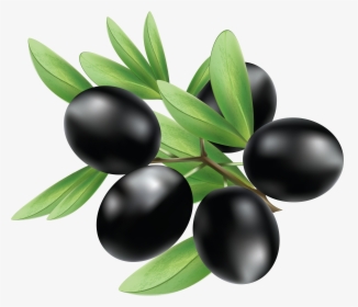Black Olives Transparent Background, HD Png Download, Free Download