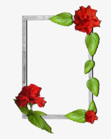 Flowers Frame Borders And Frames, Nature Plants, Frame - Folwers Frame High Quality, HD Png Download, Free Download