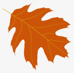 Images For Oak Leaf Clip Art Png - Oak Leaf Clipart Transparent, Png Download, Free Download