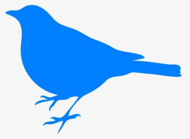 Pájaro Negro, Azul, Silueta, Sentarse - Blue Bird Silhouette, HD Png Download, Free Download