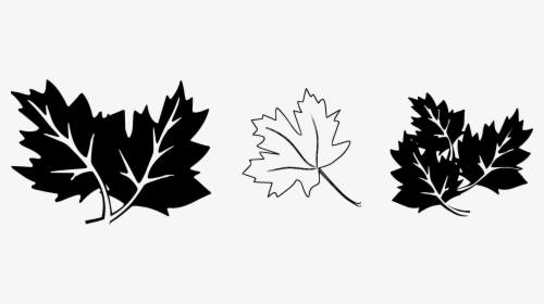 Leaf Black And White Clipart, HD Png Download, Free Download