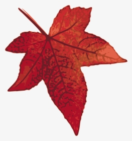 Oak Leaf Clipart - Maple Leaf Clipart, HD Png Download, Free Download