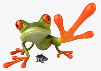 Download Frog Png - Tree Frog Png, Transparent Png, Free Download