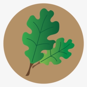 Lecanium Scale Icon - Gambel Oak, HD Png Download, Free Download