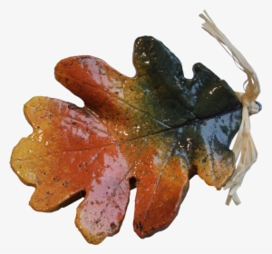 Oak Leaf Ornament - Maple Leaf, HD Png Download, Free Download