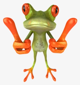 Tree Frog Png - Funny Frog, Transparent Png, Free Download