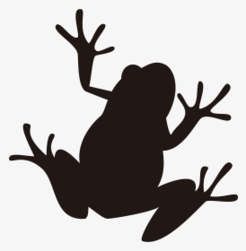 Frog Silhouette Illustration Image Amphibians - Frog Silhouette Png, Transparent Png, Free Download