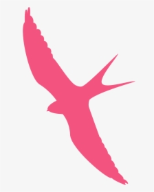 Zwaluw Contouren, HD Png Download, Free Download