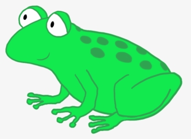 Funny Cartoon Frog Drawing, Funny And Cute Cartoon - Cartoon Frog Transparent Background, HD Png Download, Free Download