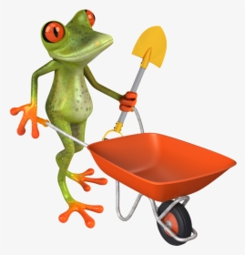 Lawn Care Frog - Red-eyed Tree Frog, HD Png Download, Free Download
