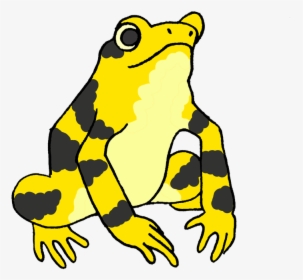 Frogs Clipart Amphibian - Golden Frog Of Panama Clipart, HD Png Download, Free Download