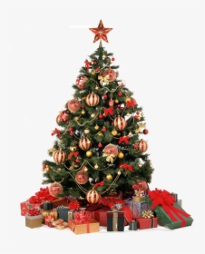 Christmas Tree With Light Png, Transparent Png, Free Download