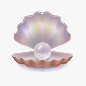 Pearl Background Png - Pearl Png, Transparent Png, Free Download